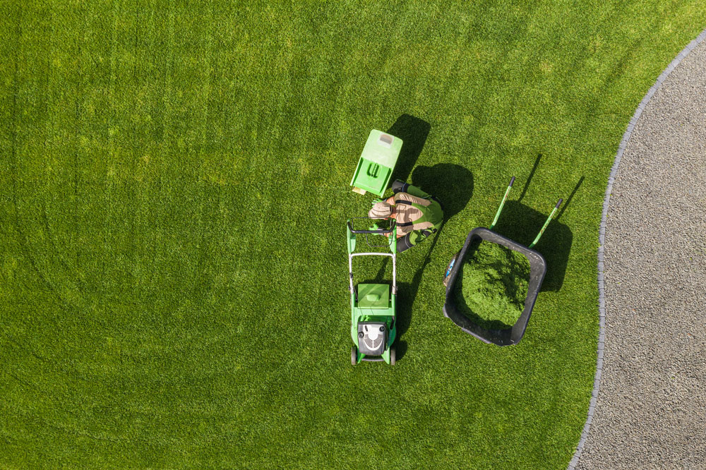 profesionalno mašinsko košenje trave - uređenje i projektovanje zelenih površina - Provansa Green Centar